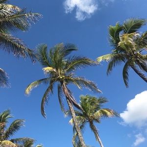 Meet your Posher, Ellie